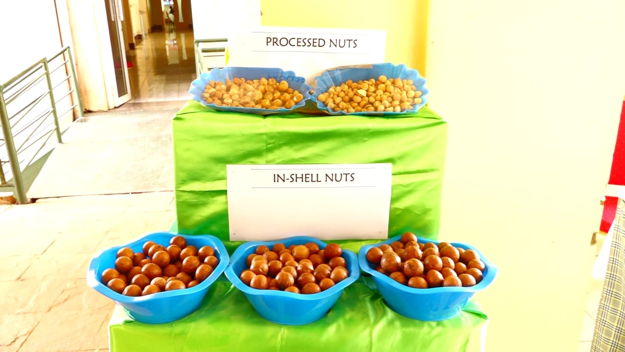 COUNTY GOVERNMENT MOVES TO RESTRUCTURE MACADAMIA FARMING.